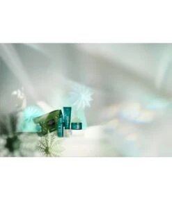 Aveda Botanical Repair Strengthening Essentials Rich Coffret Soin Cheveux -Soins Capillaires Boutique 018084049976 pack