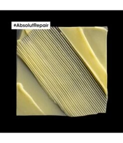 L'Oréal Professionnel Paris Serie Expert Absolut Repair Après-shampoing -Soins Capillaires Boutique 3474636976089 visual fr