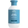 Wella Professionals Invigo Scalp Balance Pure Shampoing -Soins Capillaires Boutique 4064666585246 c