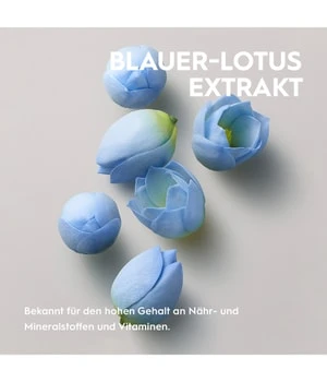 Kerasilk Volumen Shampoo Shampoing 6 Kerasilk Volumen Shampoo Shampoing – Image 4