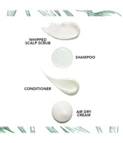 Bumble And Bumble Seaweed Scalp Scrub Soin Du Cuir Chevelu 10 Bumble And Bumble Seaweed Scalp Scrub Soin Du Cuir Chevelu -Soins Capillaires Boutique 685428000452 detail