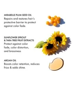 Fekkai Technician Color Hair Mask Masque Cheveux -Soins Capillaires Boutique 842101102098 visual2