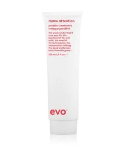 Evo Mane Attention Protein Treatment Soin Capillaire