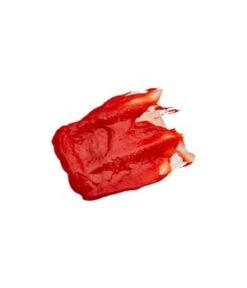 Evo Fabuloso Copper Colour Boosting Treatment Coloration Temporaire -Soins Capillaires Boutique 9349769012604 detail