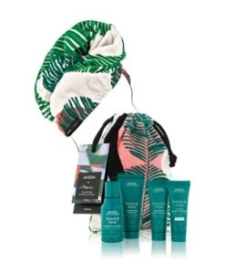 Aveda Botanical Repair Mini Gift Set Mit Light Masque Coffret Soin Cheveux