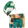 Aveda Botanical Repair Mini Gift Set Mit Rich Masque Coffret Soin Cheveux -Soins Capillaires Boutique aveda botanical repair mini gift set mit rich masque haarpflegeset 1 stk 0018084031650
