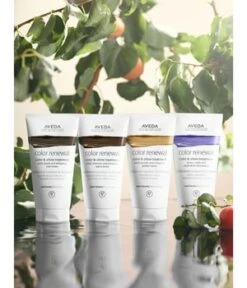 Aveda Color Renewal Warm Blonde Masque Cheveux 9 Aveda Color Renewal Warm Blonde Masque Cheveux -Soins Capillaires Boutique aveda color renewal warm blonde haarmaske 150 ml 018084038819 detail