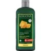 Logona Bière & Miel Bio Volumes Shampoing -Soins Capillaires Boutique logona volumen bier honig haarshampoo 250 ml 4017645008038
