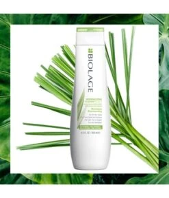 Biolage CleanReset Normalizing Shampoing -Soins Capillaires Boutique matrix biolage normalizing clean scalpsync haarshampoo 250 ml 3474630621169 visual2
