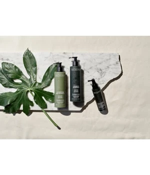 Natucain Revitalizing Shampoo Shampoing 7 Natucain Revitalizing Shampoo Shampoing – Image 5