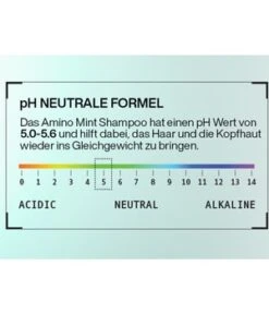 Redken Amino Mint Scalp Relief Shampoing 10 Redken Amino Mint Scalp Relief Shampoing -Soins Capillaires Boutique redken amino mint scalp relief haarshampoo 300 ml 3474637068370 detail