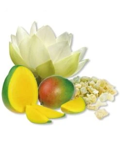 Schwarzkopf Professional BC Bonacure Fibre Force Soin Bond Connector Infusion Sérum Cheveux -Soins Capillaires Boutique schwarzkopf professional bc bonacure fibre force bond connector infusion haarserum 120 ml 4045787443493 visual