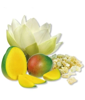 Schwarzkopf Professional BC Bonacure Fibre Force Shampoing 4 Schwarzkopf Professional BC Bonacure Fibre Force Shampoing – Image 2