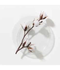 Schwarzkopf Professional BlondMe All Blondes Detox Soin Capillaire -Soins Capillaires Boutique schwarzkopf professional blondme all blondes detox haarkur 200 ml 4045787641073 visual