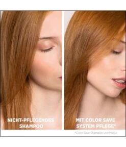 System Professional Color Save (C1) Shampoing -Soins Capillaires Boutique system professional color save c1 haarshampoo 500 ml 4064666002477 visual2