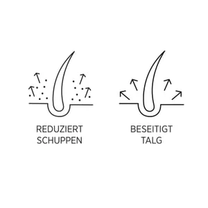 System Professional LipidCode Man Soin Anti-pelliculaire Anti-Dandruff (M1D) Shampoing 5 System Professional LipidCode Man Soin Anti-pelliculaire Anti-Dandruff (M1D) Shampoing – Image 3