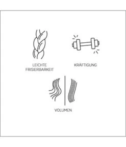 System Professional Volumize (V1) Shampoing -Soins Capillaires Boutique system professional volumize v1 haarshampoo 500 ml 4064666005713 detail